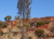Outback, Northern Territory