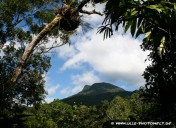 Mount Demi, Queensland