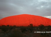 Sonnenaufgang am Uluru, Northern Territory