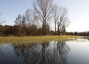 Hochwasser-15