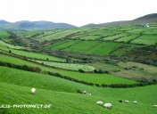 Irland12